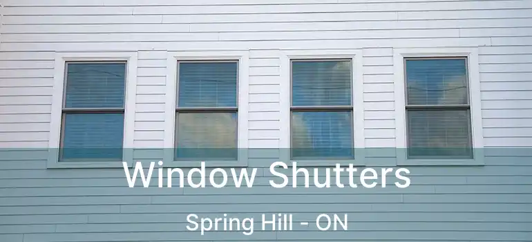 Window Shutters Spring Hill - ON