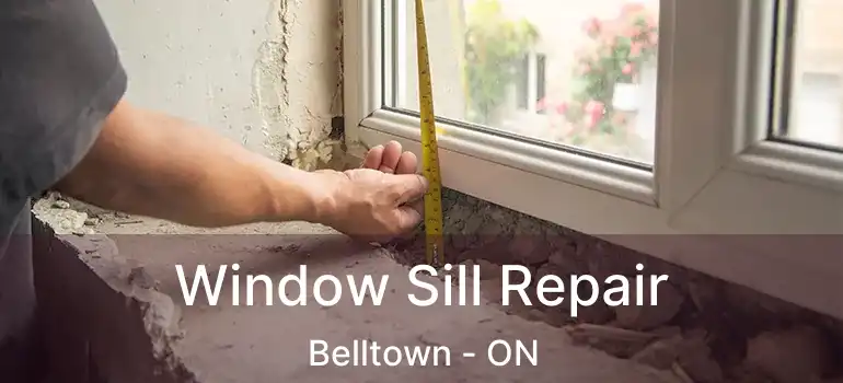 Window Sill Repair Belltown - ON