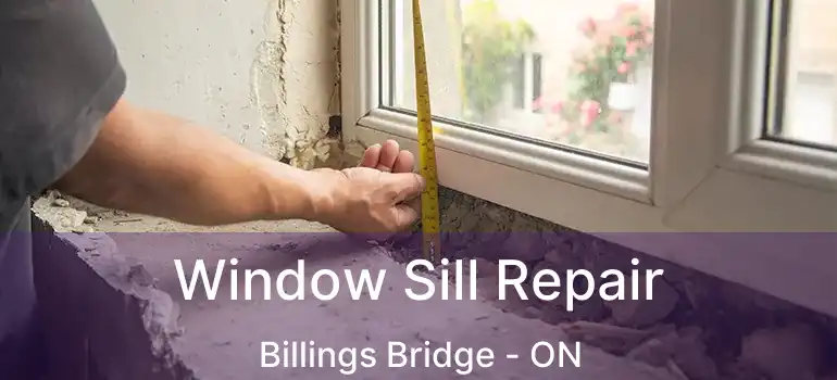 Window Sill Repair Billings Bridge - ON