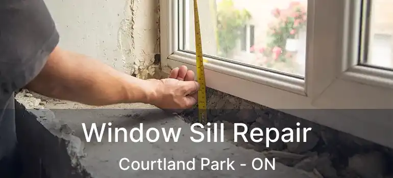 Window Sill Repair Courtland Park - ON