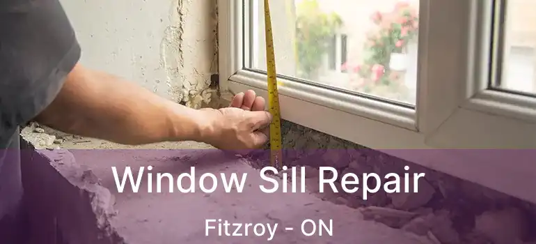  Window Sill Repair Fitzroy - ON
