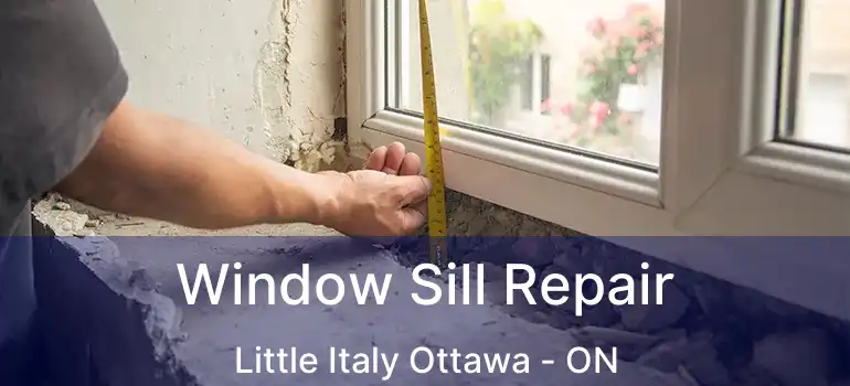 Window Sill Repair Little Italy Ottawa - ON