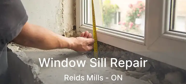  Window Sill Repair Reids Mills - ON