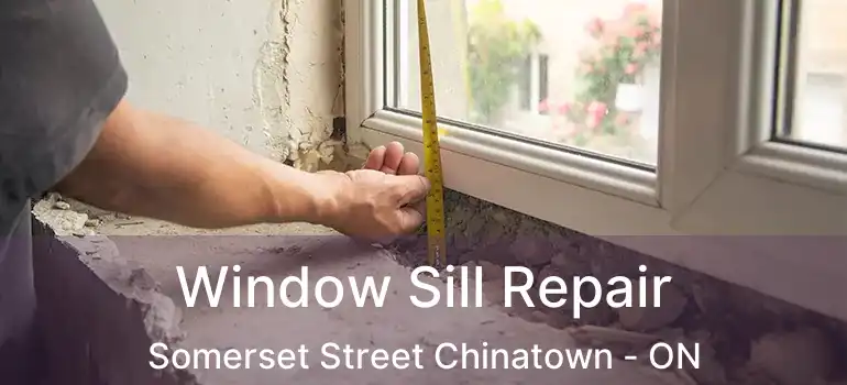  Window Sill Repair Somerset Street Chinatown - ON