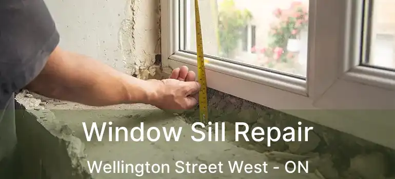 Window Sill Repair Wellington Street West - ON