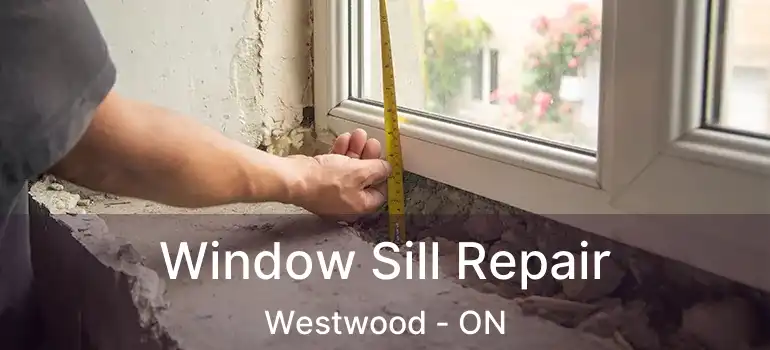 Window Sill Repair Westwood - ON