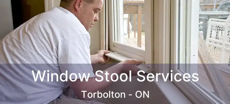  Window Stool Services Torbolton - ON