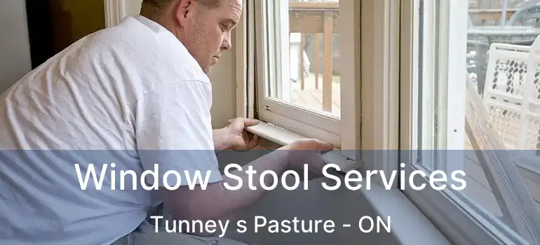  Window Stool Services Tunney s Pasture - ON