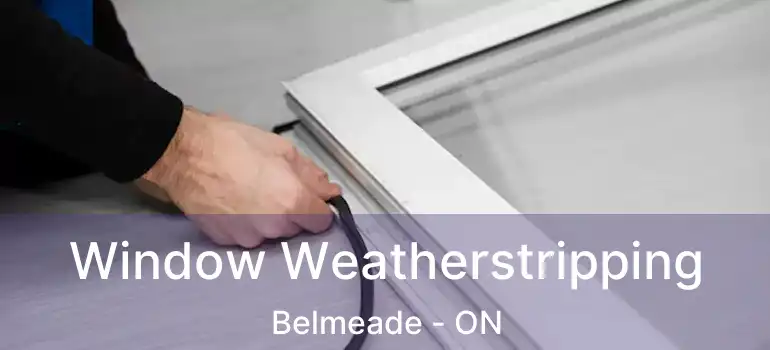  Window Weatherstripping Belmeade - ON