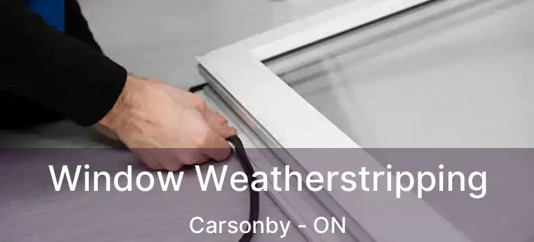  Window Weatherstripping Carsonby - ON