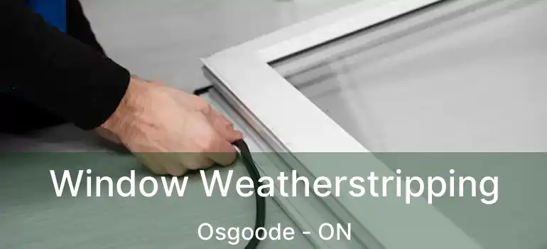  Window Weatherstripping Osgoode - ON