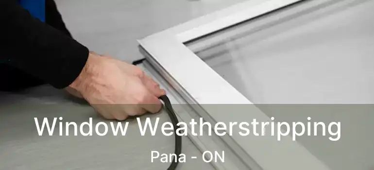 Window Weatherstripping Pana - ON