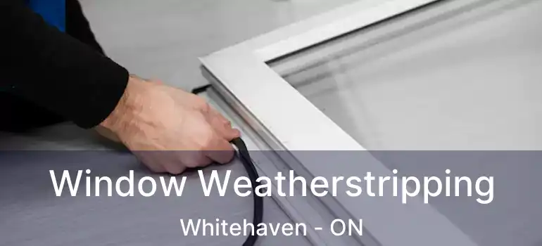  Window Weatherstripping Whitehaven - ON