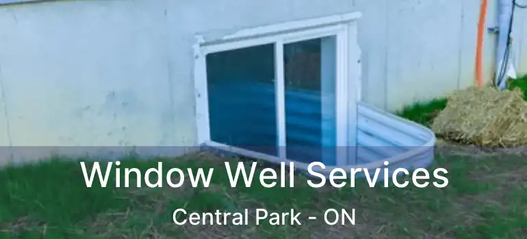 Window Well Services Central Park - ON