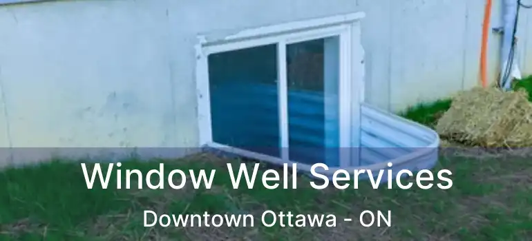 Window Well Services Downtown Ottawa - ON