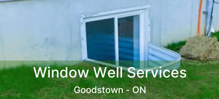Window Well Services Goodstown - ON