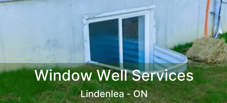 Window Well Services Lindenlea - ON