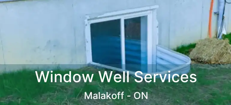  Window Well Services Malakoff - ON