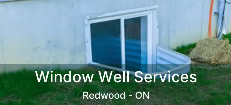  Window Well Services Redwood - ON