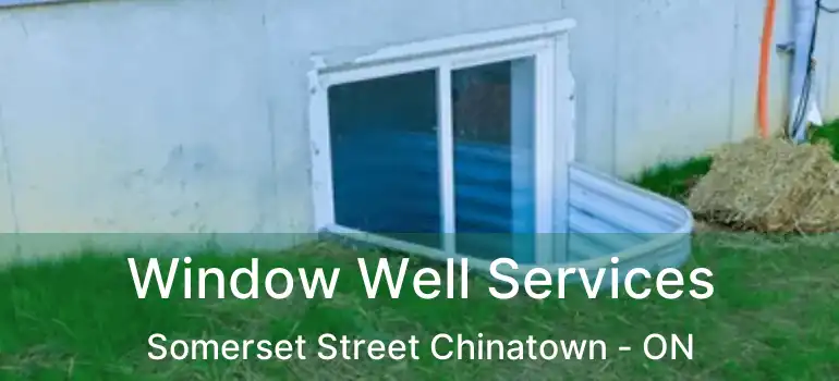  Window Well Services Somerset Street Chinatown - ON