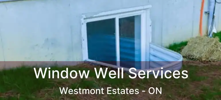  Window Well Services Westmont Estates - ON