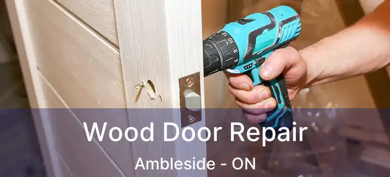 Wood Door Repair Ambleside - ON