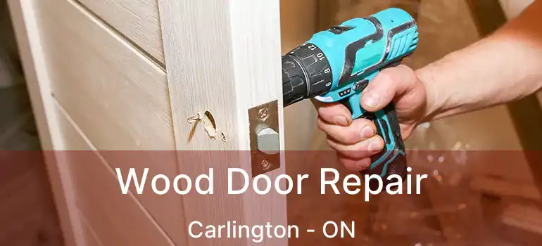 Wood Door Repair Carlington - ON