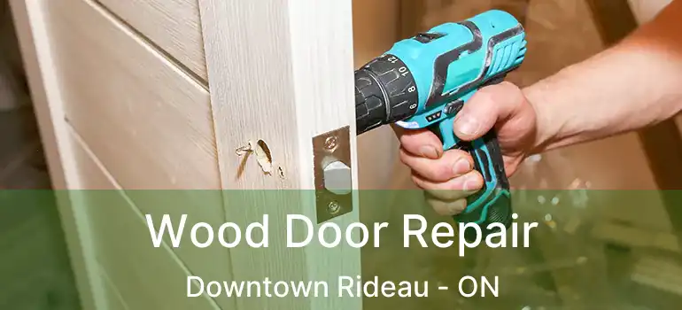Wood Door Repair Downtown Rideau - ON