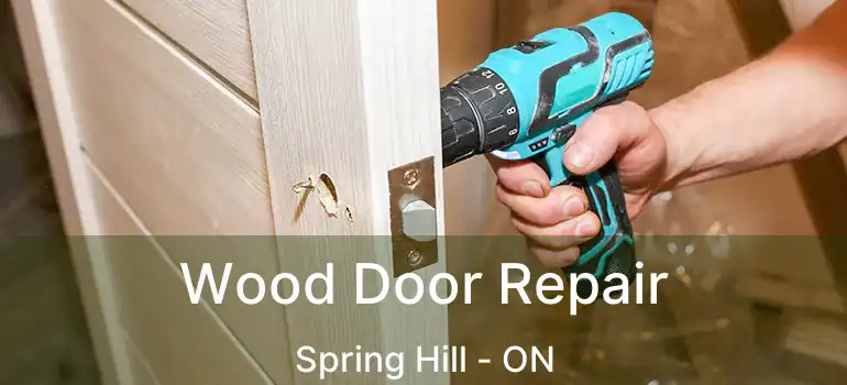Wood Door Repair Spring Hill - ON