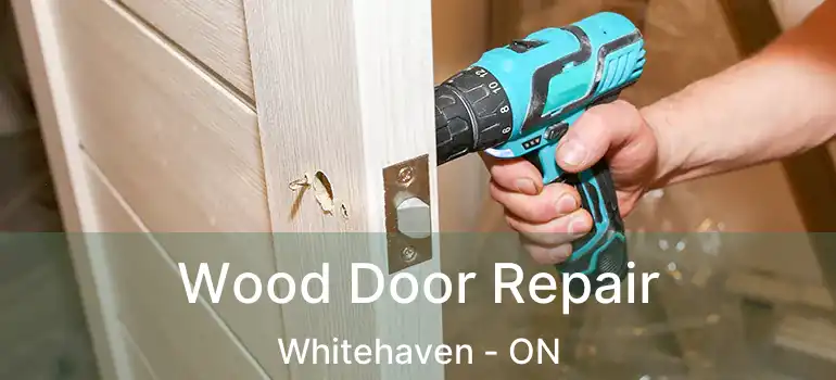 Wood Door Repair Whitehaven - ON
