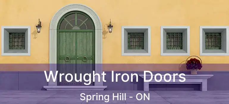 Wrought Iron Doors Spring Hill - ON